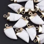 Natural Howlite Pointed Pendants
