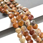 Flat Round Natural Crazy Lace Agate Beads Strands