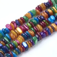 Natural Freshwater Shell Beads Strands