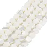 Natural Trochid Shell/Trochus Shell Beads Strands