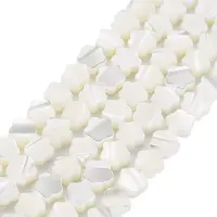 Natural Trochid Shell/Trochus Shell Beads Strands