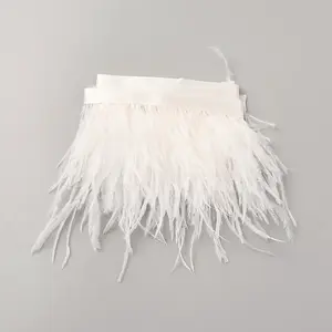 Fashion Ostrich Feather Trimming