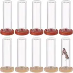 10Pcs 2 Colos Glass Dome Cover