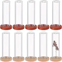 10Pcs 2 Colos Glass Dome Cover