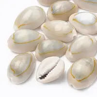 Cowrie Shell Beads