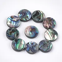 Abalone Shell/Paua Shell Beads