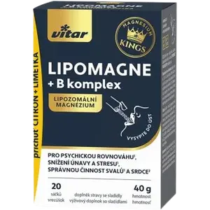 VITAR Lipomagne + B komplex 20 x 2 g