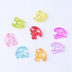 Transparent Acrylic Pendants