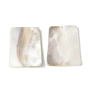 Freshwater Shell Big Pendants