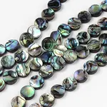 Natural Abalone Shell/Paua Shell Beads Strands