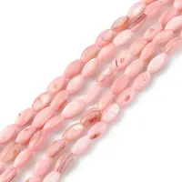 Natural Freshwater Shell Dyed Beads Strands