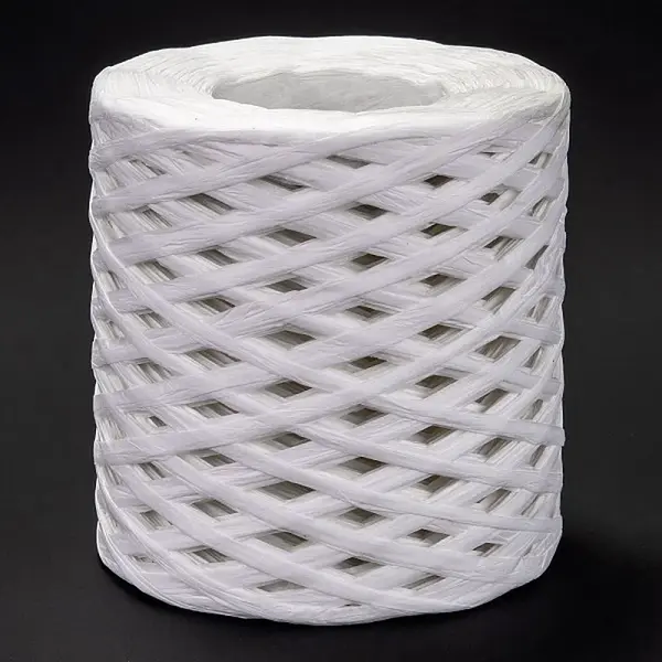 Raffia Ribbon