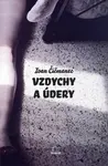 Vzdychy a údery - Ivan Čičmanec