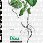 Běsa - Dita Táborská - e-kniha