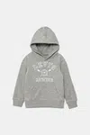 Dětská mikina Levi's VARSITY ROWING HOODIE šedá barva, s kapucí, s potiskem, 8EM573