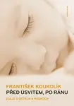 Před úsvitem, po ránu - František Koukolík