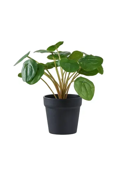 Umelá rastlina v kvetináči House Nordic Peila