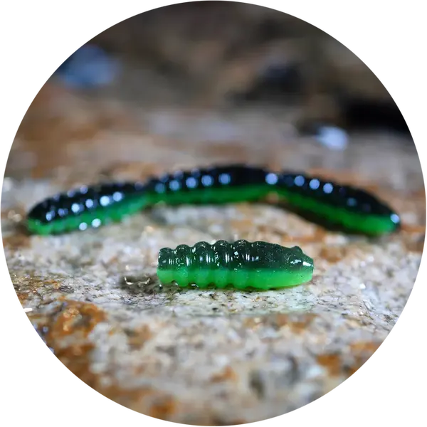 Redbass gumová nástraha trout grub 3x25mm - black/green