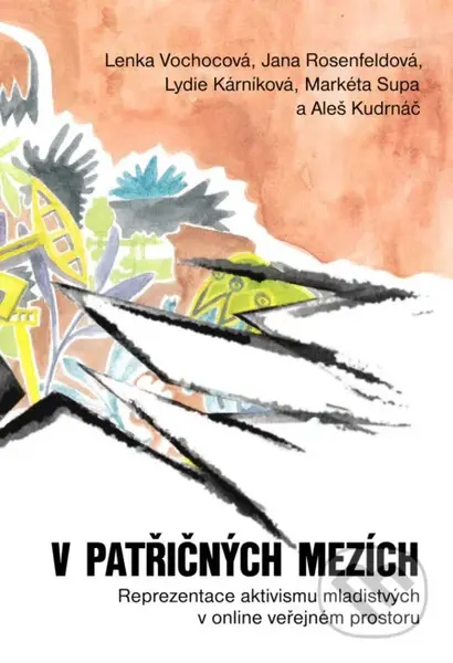 V patřičných mezích (Reprezentace aktivizmu mladistvých v online veřejném prostoru)