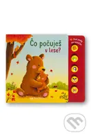 Čo počuješ v lese? (Prvé zvuky pre bábätko) - Sarah Dietz (ilustrátor), Sarah Dietz - kniha z kategorie Naučné knihy