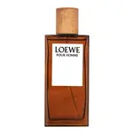 Loewe Pour Homme toaletní voda pro muže 100 ml