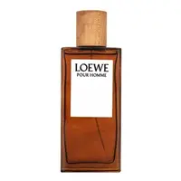 Loewe Pour Homme toaletní voda pro muže 100 ml