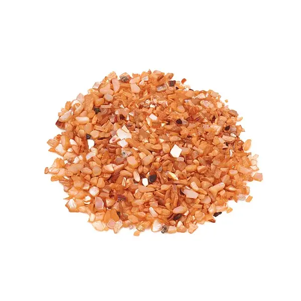 Natural Freshwater Shell Beads