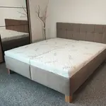 Postel Petra Rozměr: 180 x 200 cm, Matrace: Madona - tvrdost 3, látka: Aragon 90