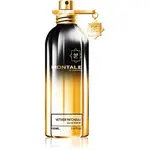 Montale Vetiver Patchouli parfémovaná voda unisex 100 ml
