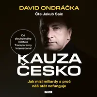 Kauza Česko - David Ondráčka - audiokniha