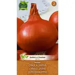 Cibuľa jarná Karmen