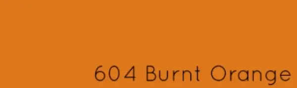 Acid Dyes Jacquard - 604 Burnt Orange