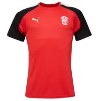Puma TEAMGLORY JERSEY Pánske futbalové tričko, červená, veľkosť
