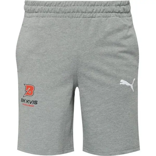 Puma TEAMGOAL CASUALS SHORTS Pánske krátke nohavice, sivá, veľkosť