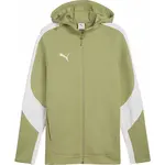 Puma TEAMEVOSTRIPE HOODED JACKET Pánská bunda, zelená, velikost