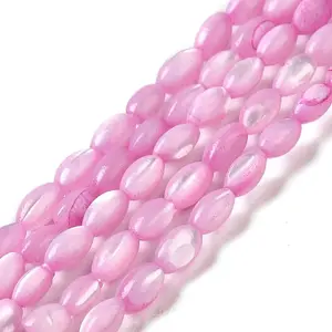 Natural Trochus Shell Beads Strands