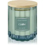 Esprit Provence Cèdre vonná svíčka s víčkem 100 g