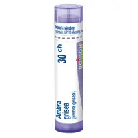 BOIRON Ambra grisea 30CH 4 g