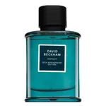 David Beckham Instinct 20th Anniversary Edition parfémovaná voda pro muže 75 ml