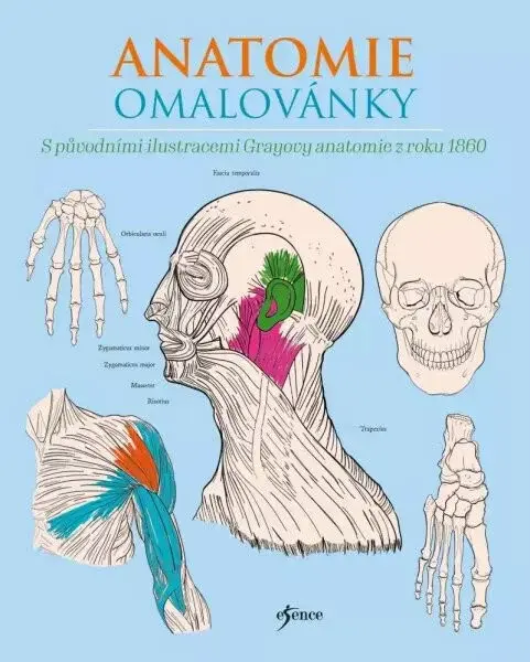 Anatomie omalovánky (poškozené) - Henry Gray, Henry Carter