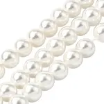 Rainbow Plated Shell Pearl Bead Strands