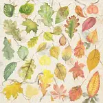 Meadow Talks – Red Leaves, Green Leaves