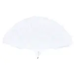 Plastic & Feather Fan Display Decoration