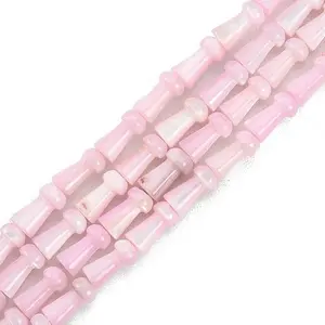 Natural Freshwater Shell Beads Strands