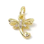 Brass Micro Pave Cubic Zirconia Charms