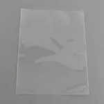OPP Cellophane Bags