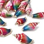 Brass & Spray Painted Natural Shell Pendants