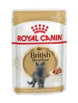 Royal Canin British Shorthair Adult kapsička 85 g