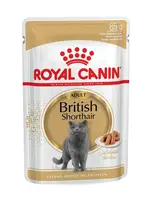 Royal Canin British Shorthair Adult kapsička 85 g