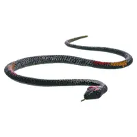 Jungle Expedition had strečový 300cm